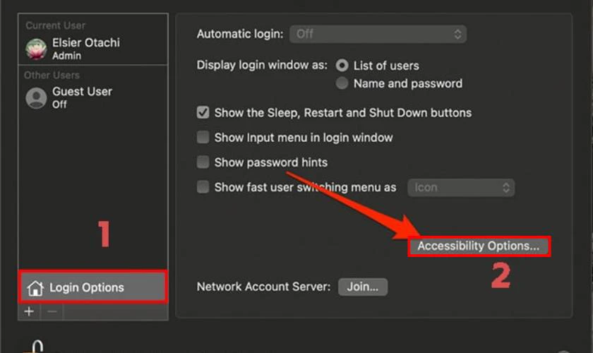 Kế đến bạn hãy nhấn vào mục Login Options và chọn vào Accessibility Options…