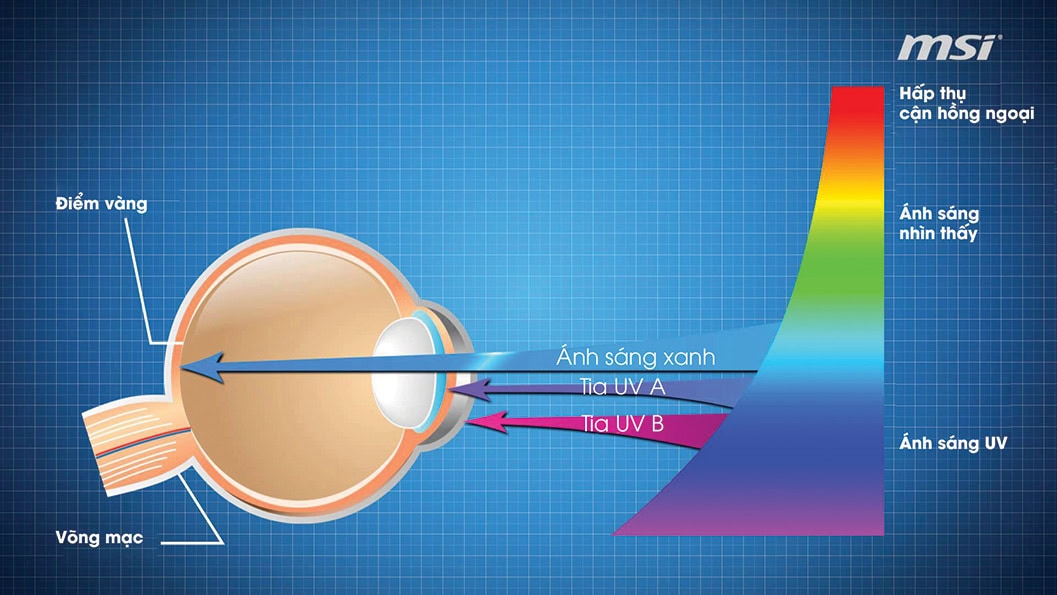 Ảnh hưởng của ánh sáng xanh đến mắt