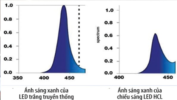 Ánh sáng xanh của chiếu sáng LED HCL